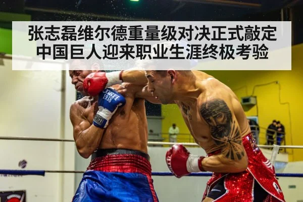张志磊维尔德重量级对决正式敲定 中国巨人迎来职业生涯终极考验